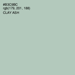 #B3C9BC - Clay Ash Color Image
